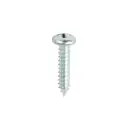 Self-Tapping Screws PZ 10" x 1" - Pan - Zinc